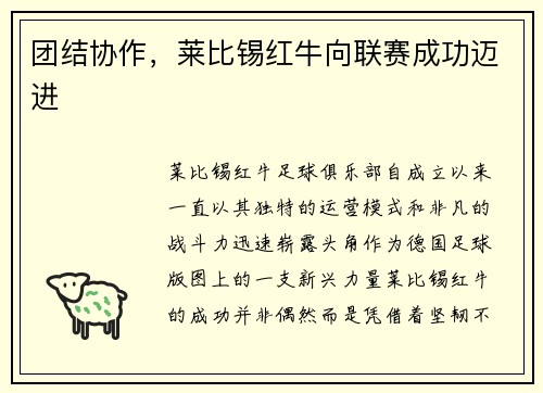 团结协作，莱比锡红牛向联赛成功迈进